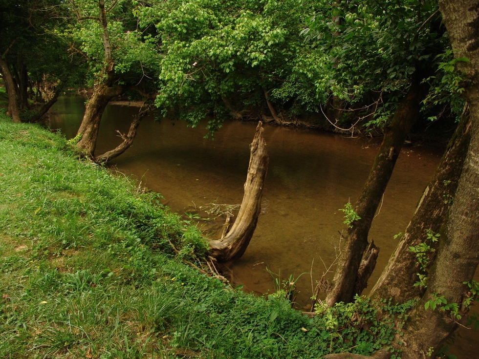 Walden's Creek | Alongside CreekSide RV Park RV Park Pigeon Forge 