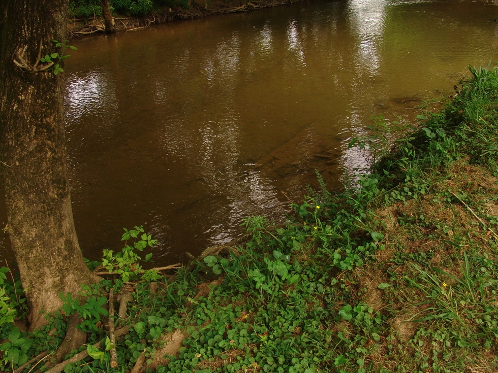 Walden's Creek | Alongside CreekSide RV Park RV Park Pigeon Forge 