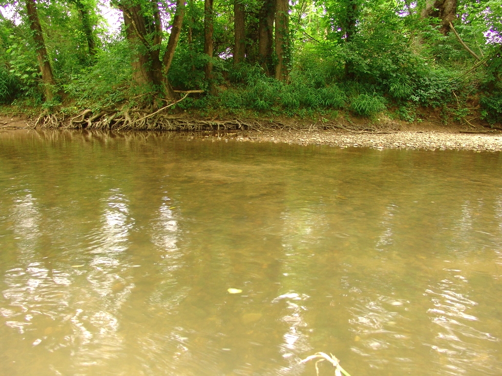 Walden's Creek | Alongside CreekSide RV Park RV Park Pigeon Forge 