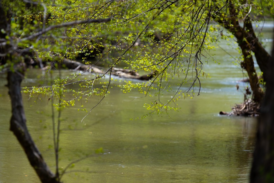 Creekside Rv Creek Photos RV Park Pigeon Forge 